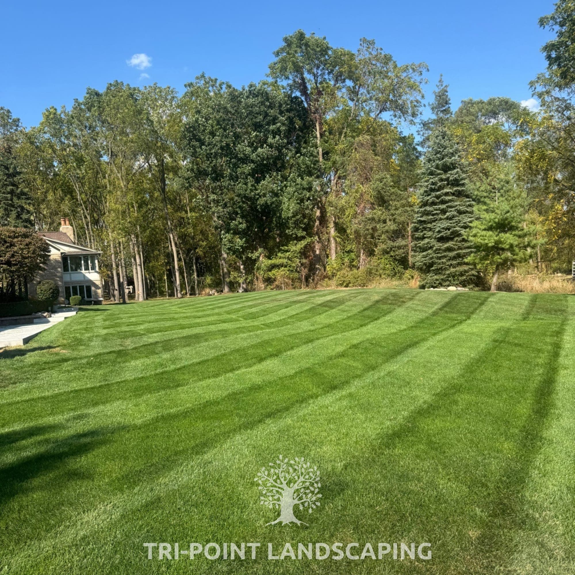 Striped lawn maintenance in Macomb County Michigan by Tri-Point Landscaping