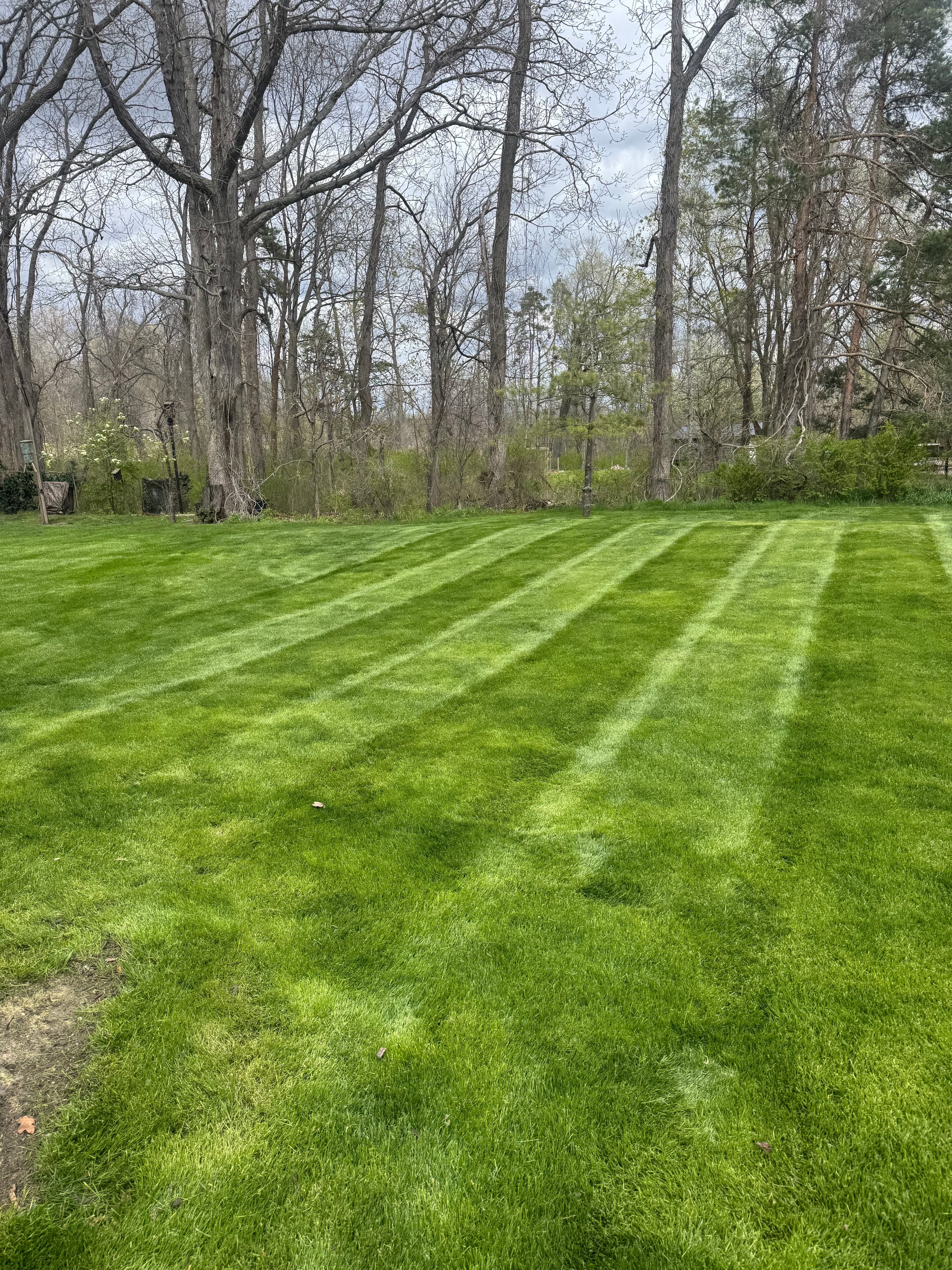 Professional lawn mowing on large property in Ray Township Michigan