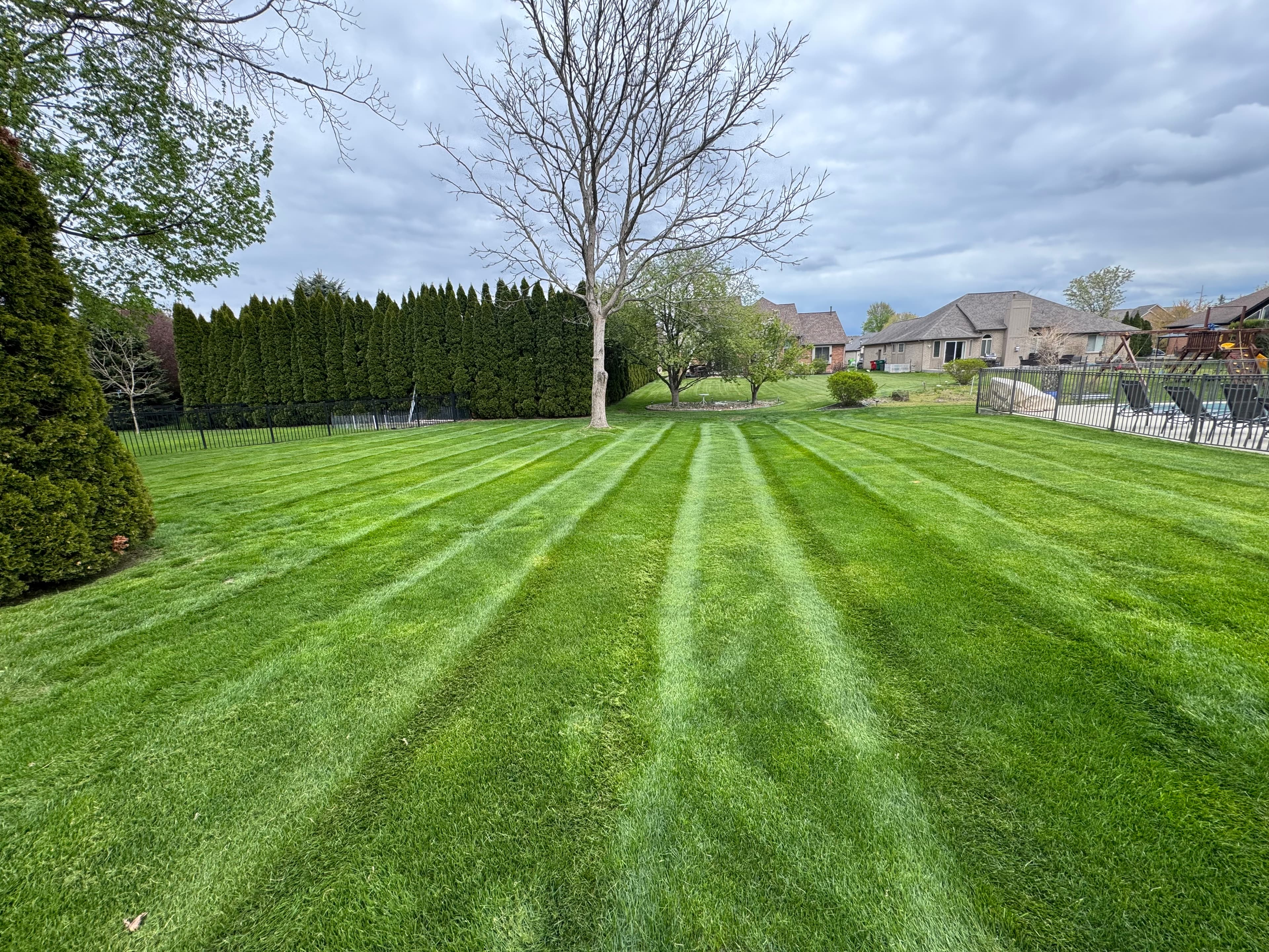 Perfectly striped backyard lawn maintained by Tri-Point Landscaping in Macomb County Michigan