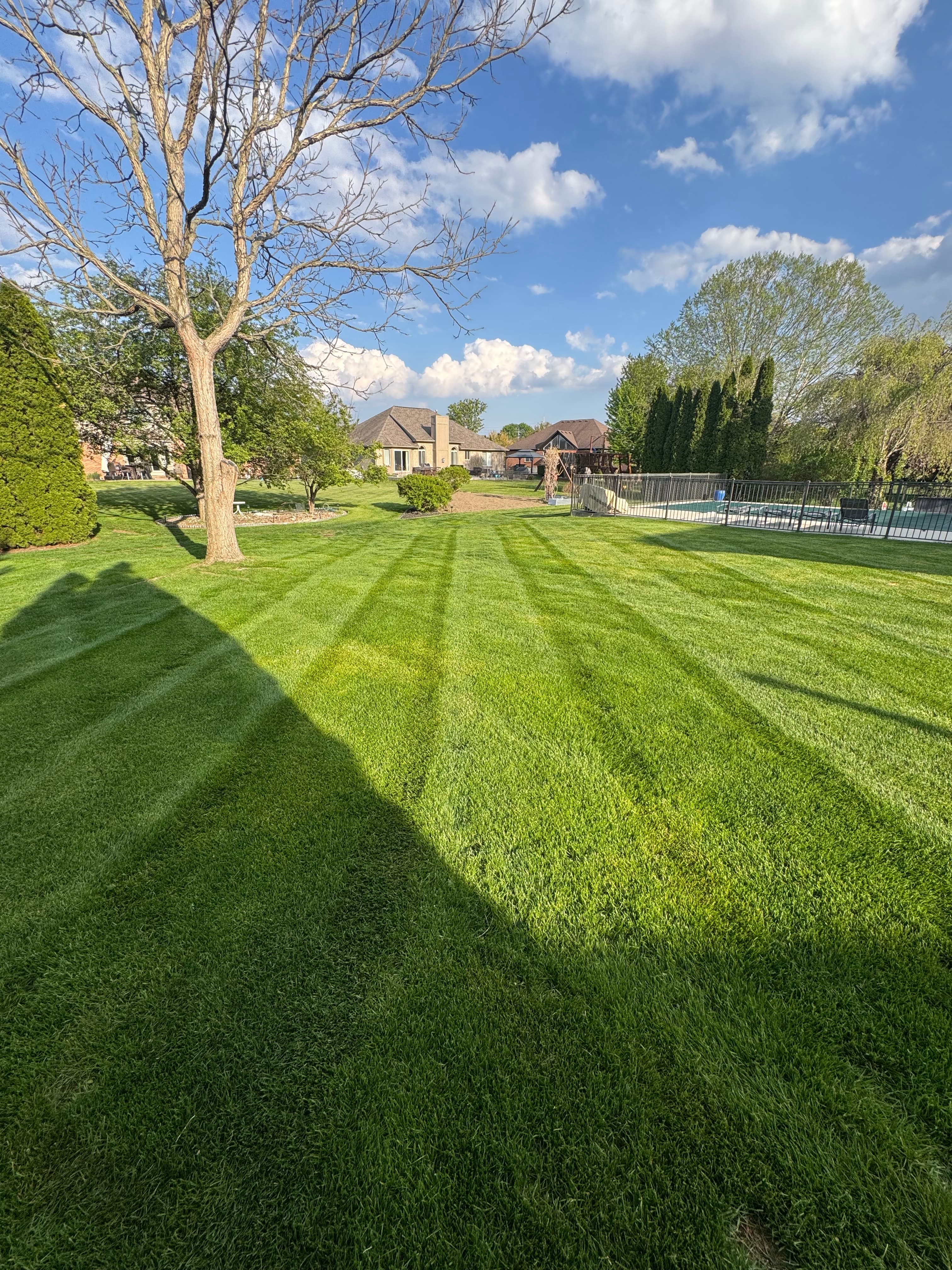 Freshly mowed lawn with clean stripe pattern and residential home in background โ Tri-Point Landscaping Michigan