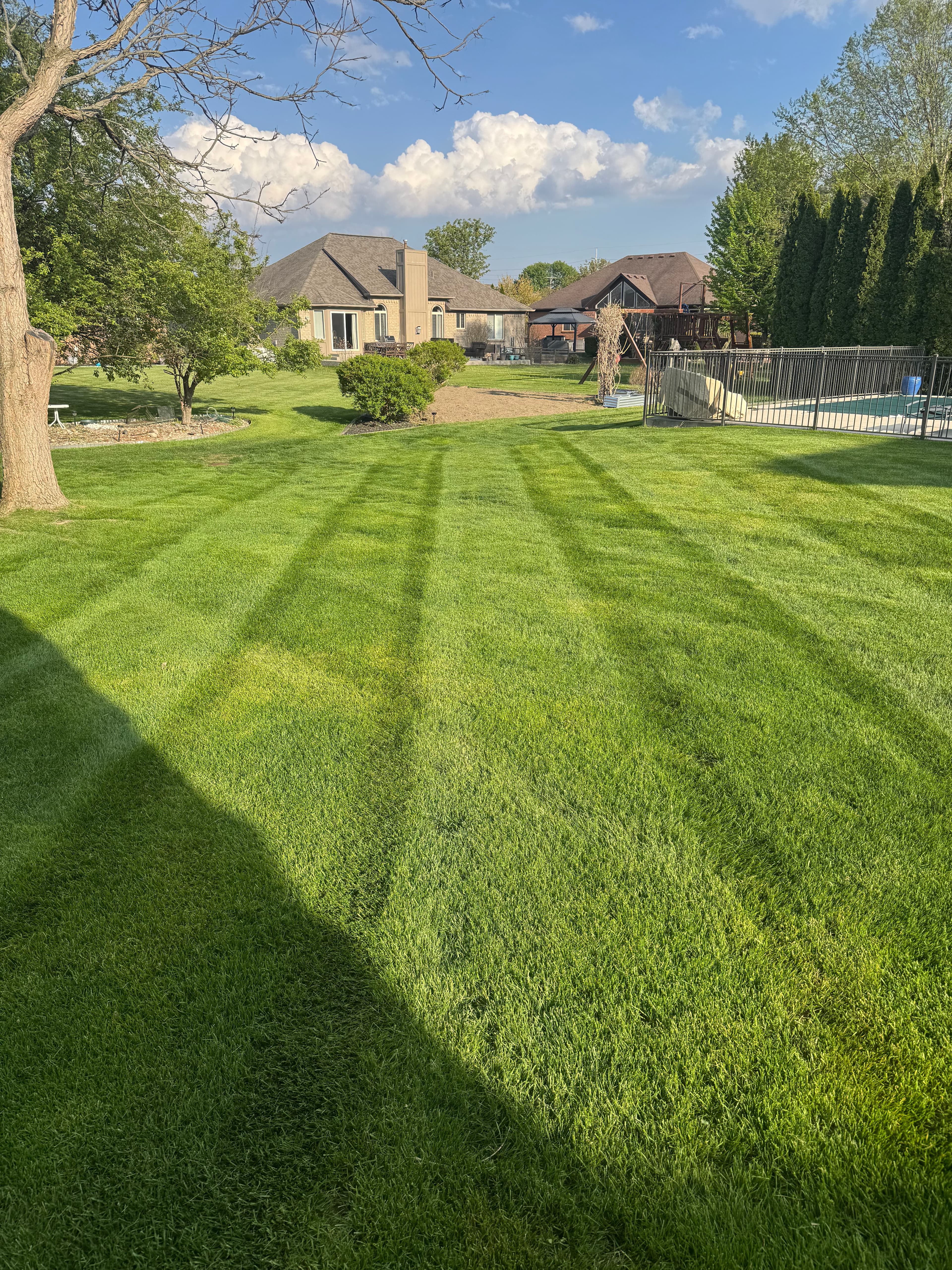 Large backyard lawn mowing with perfect stripe pattern and blue sky โ Macomb County Michigan