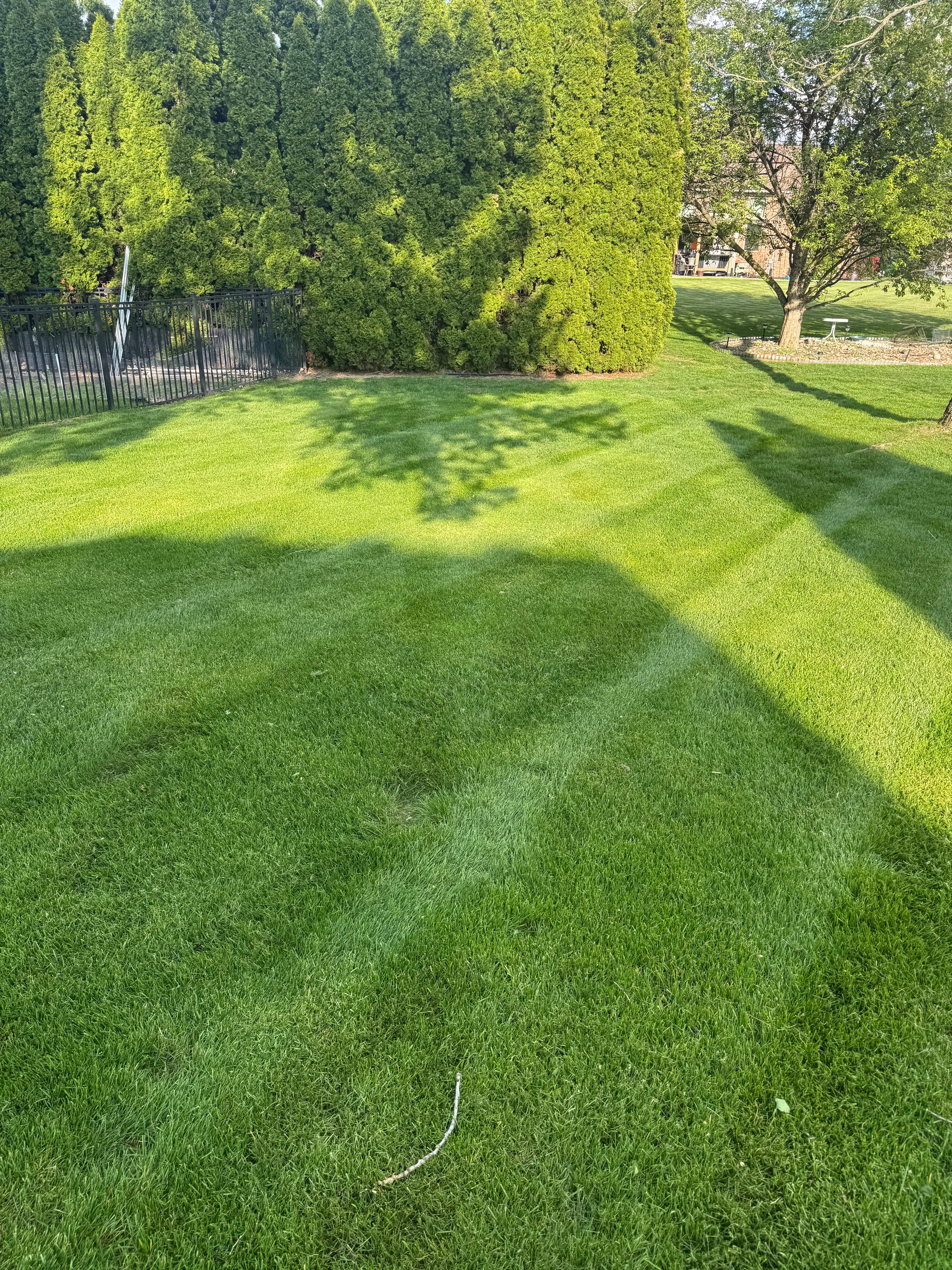 Professionally mowed backyard with lawn stripes and landscaped beds around residential home Michigan