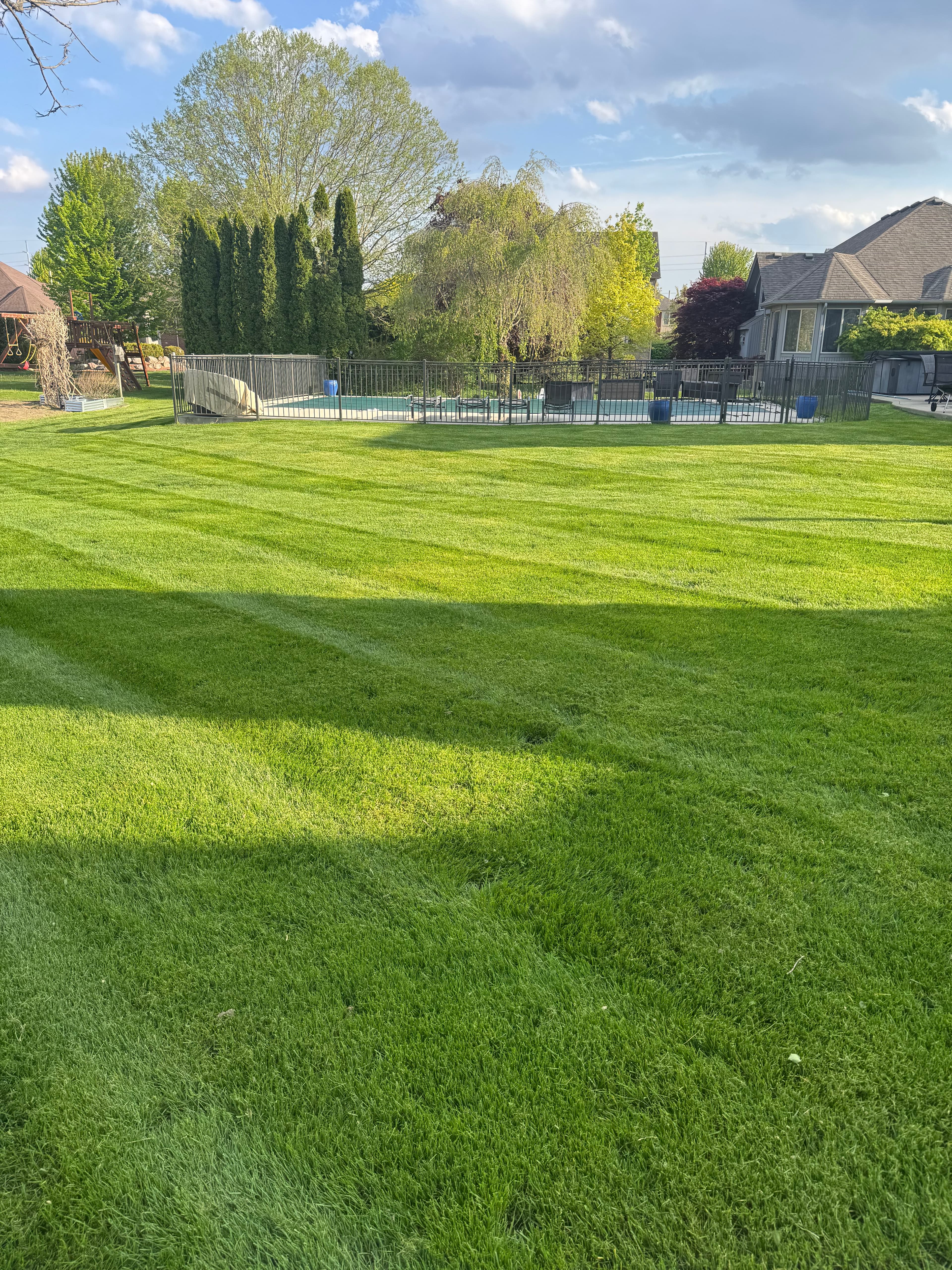 Close-up of professional lawn mowing stripe lines with evergreen hedge border โ Tri-Point Landscaping