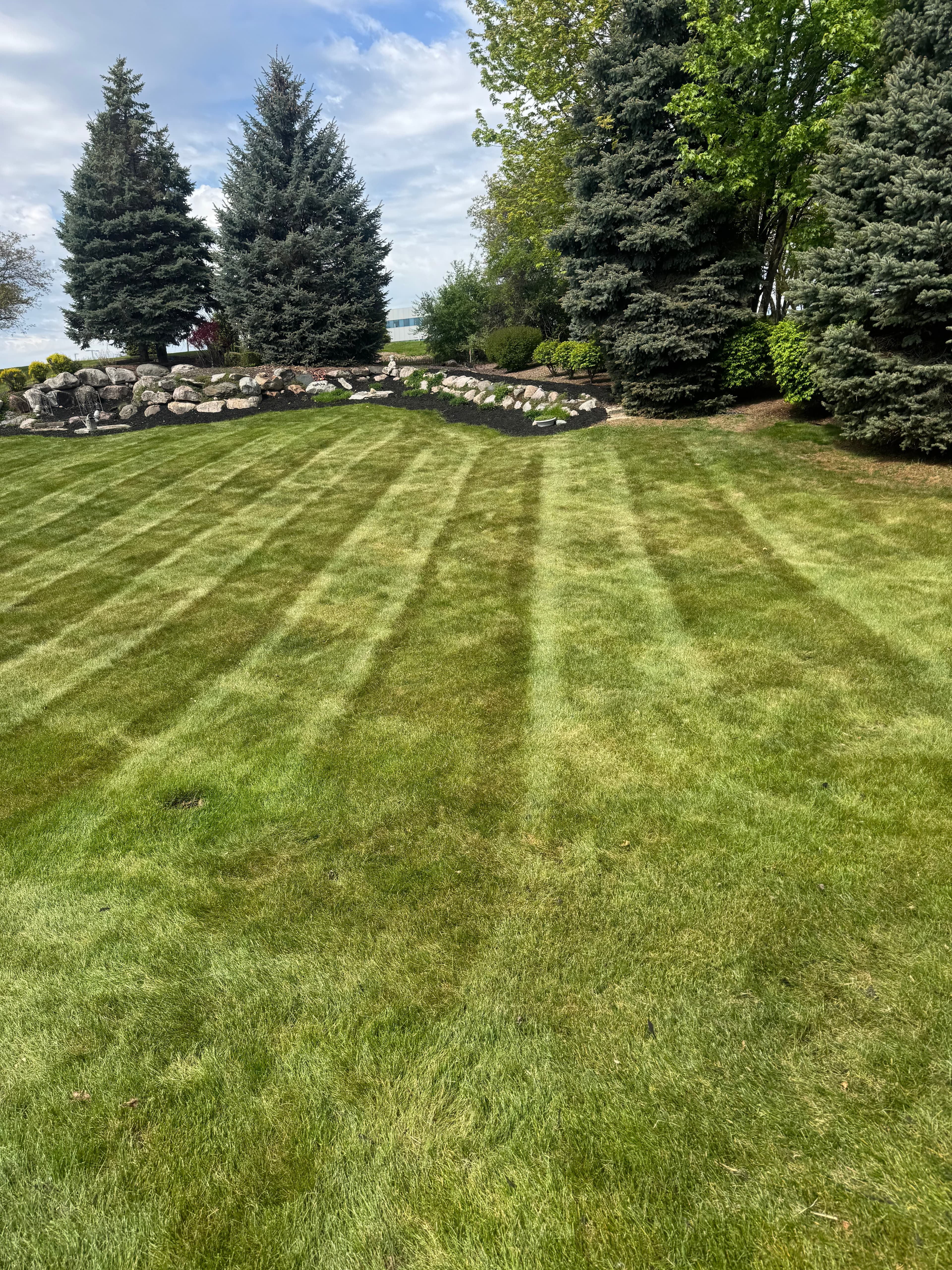 Professionally mowed lawn with stripe pattern bordered by stone landscaping and evergreen trees โ Michigan
