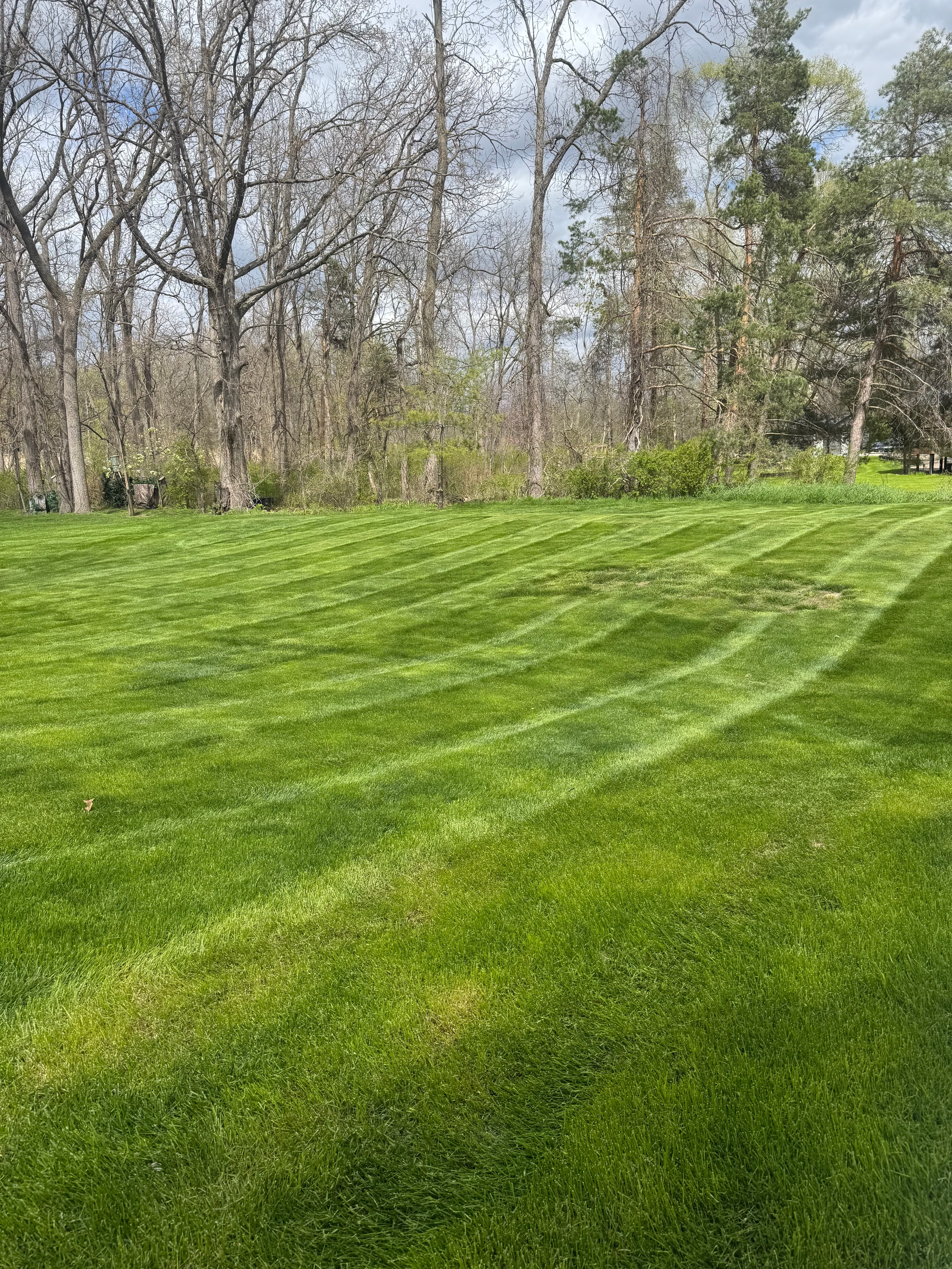 Clean lawn mowing stripes next to fence at Macomb County Michigan residential property